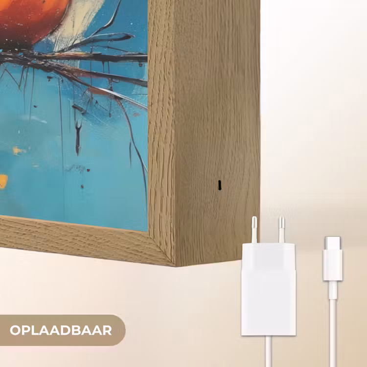 Lightbox - Wandlamp - Vogels - Kleurrijk - Tak - Abstract — 7