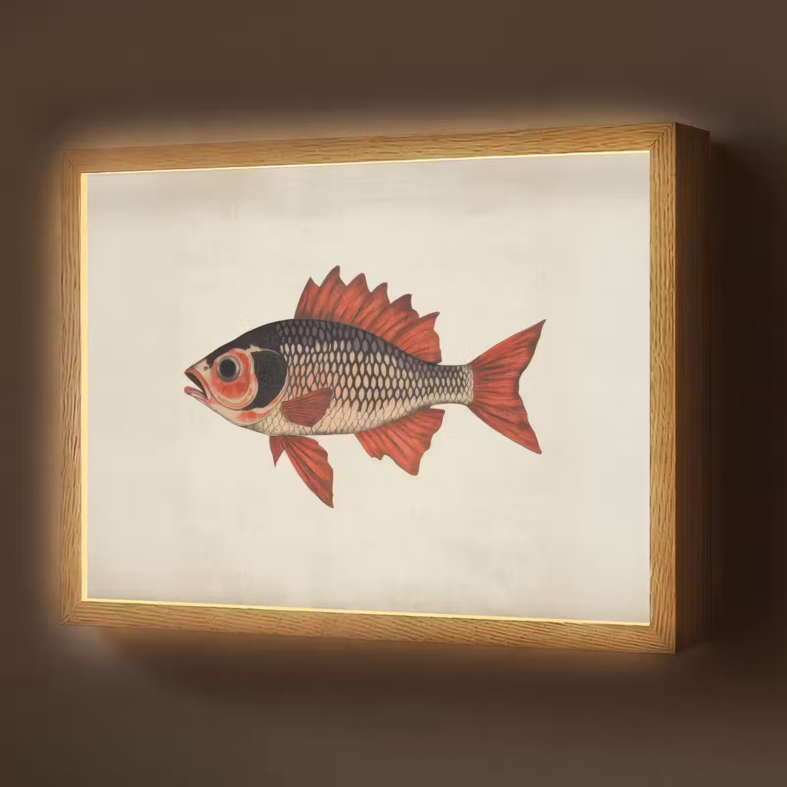 Lightbox - Wandlamp - Schubben - Rood - Vis - Vinnen — 1