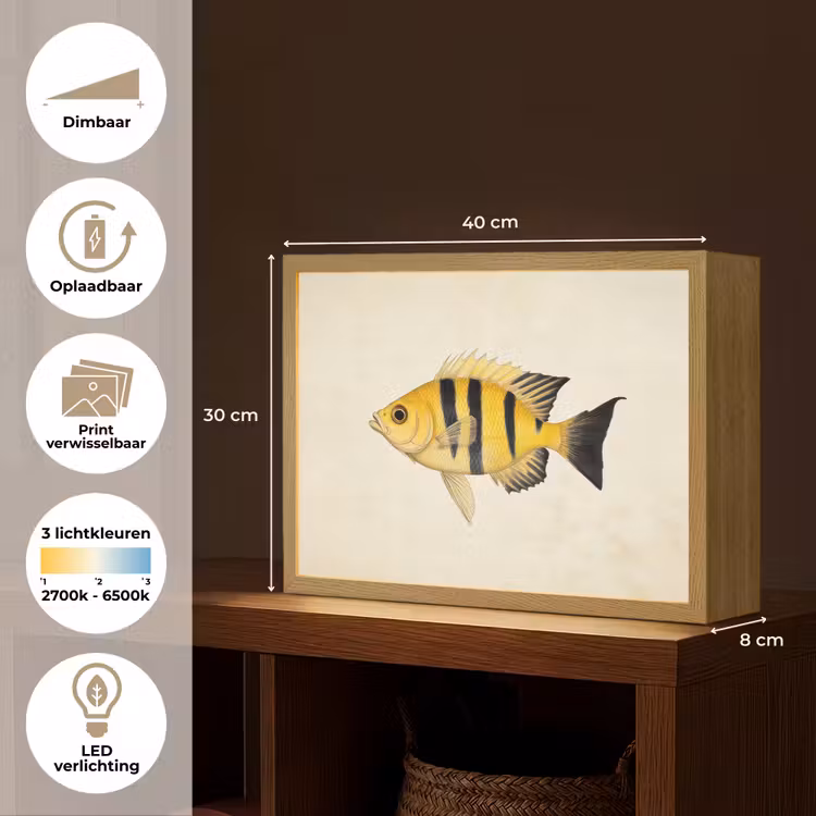 Lightbox - Wandlamp - Geel - Vis - Strepen - Tropisch — 10