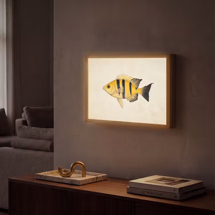 Lightbox - Wandlamp - Geel - Vis - Strepen - Tropisch — 2