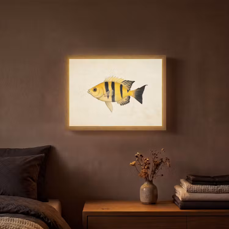 Lightbox - Wandlamp - Geel - Vis - Strepen - Tropisch — 3