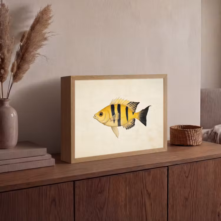 Lightbox - Wandlamp - Geel - Vis - Strepen - Tropisch — 4