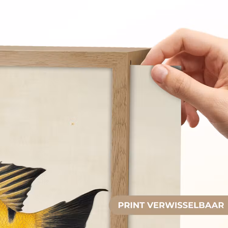 Lightbox - Wandlamp - Geel - Vis - Strepen - Tropisch — 5