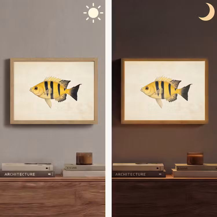 Lightbox - Wandlamp - Geel - Vis - Strepen - Tropisch — 6