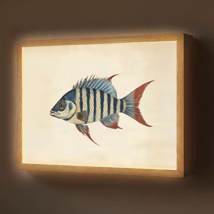 Lightbox - Wandlamp - Gestreept - Donkerblauw - Rugvin - Vis — 1