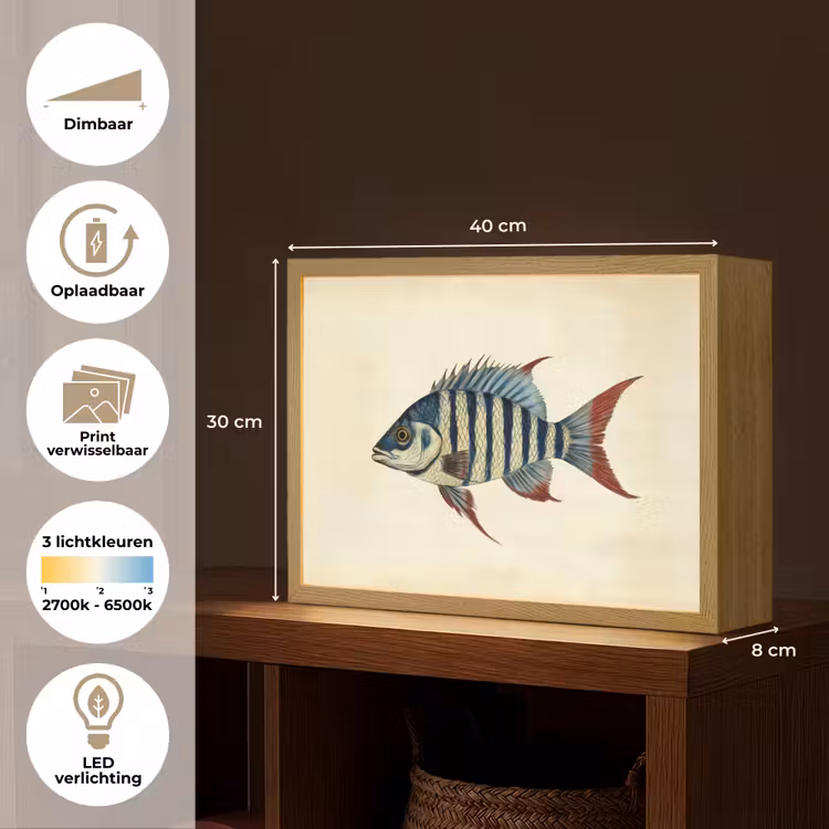 Lightbox - Wandlamp - Gestreept - Donkerblauw - Rugvin - Vis — 10
