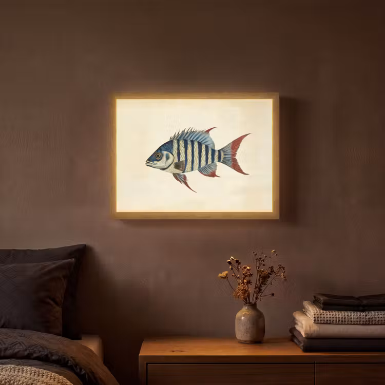 Lightbox - Wandlamp - Gestreept - Donkerblauw - Rugvin - Vis — 3
