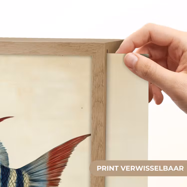 Lightbox - Wandlamp - Gestreept - Donkerblauw - Rugvin - Vis — 5