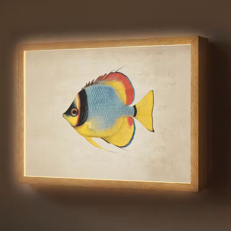 Lightbox - Wandlamp - Kleurrijk - Vis - Schubben - Illustratie — 1