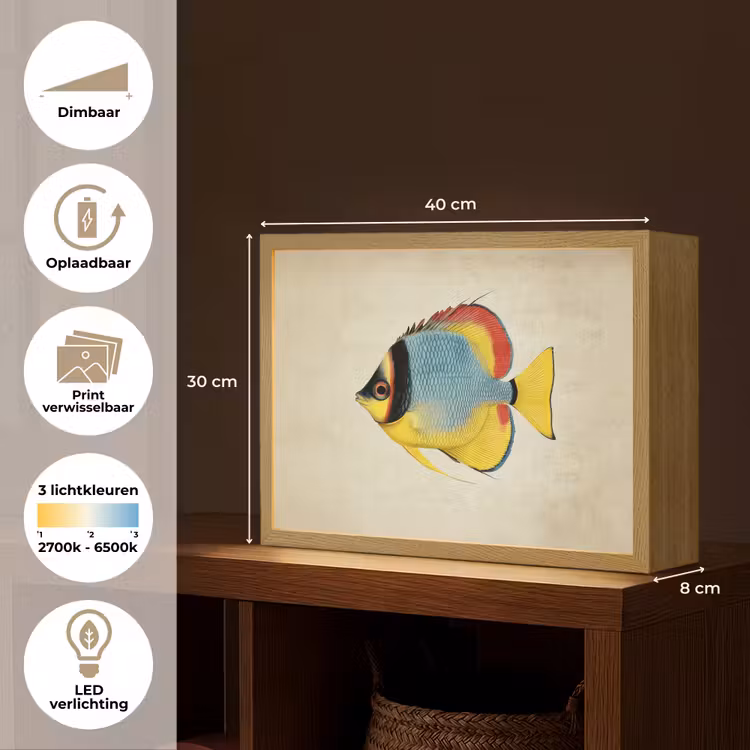 Lightbox - Wandlamp - Kleurrijk - Vis - Schubben - Illustratie — 10
