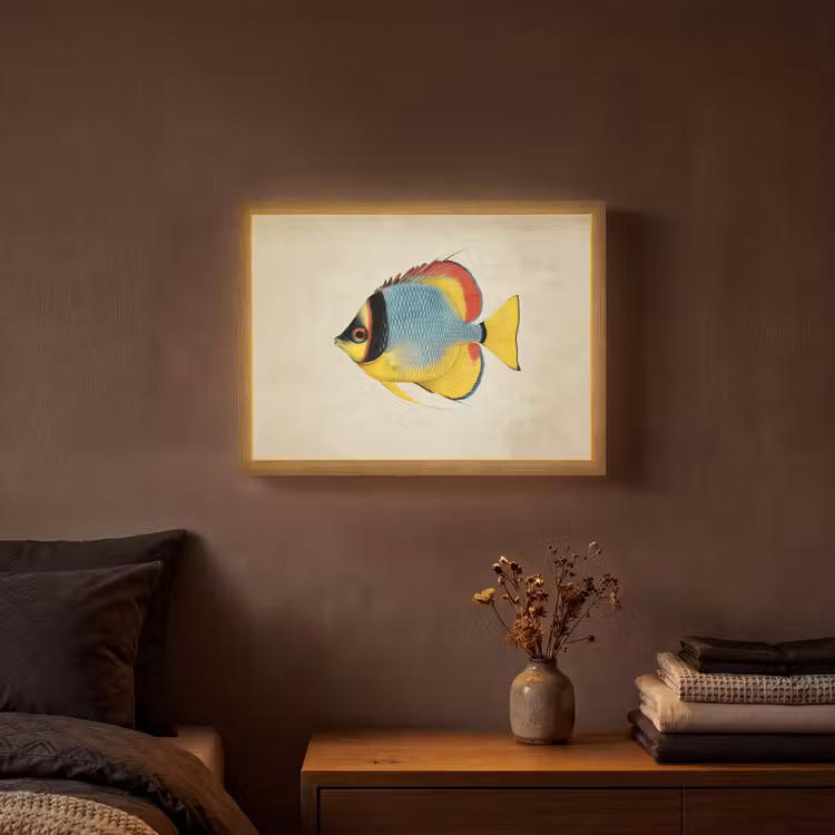 Lightbox - Wandlamp - Kleurrijk - Vis - Schubben - Illustratie — 3
