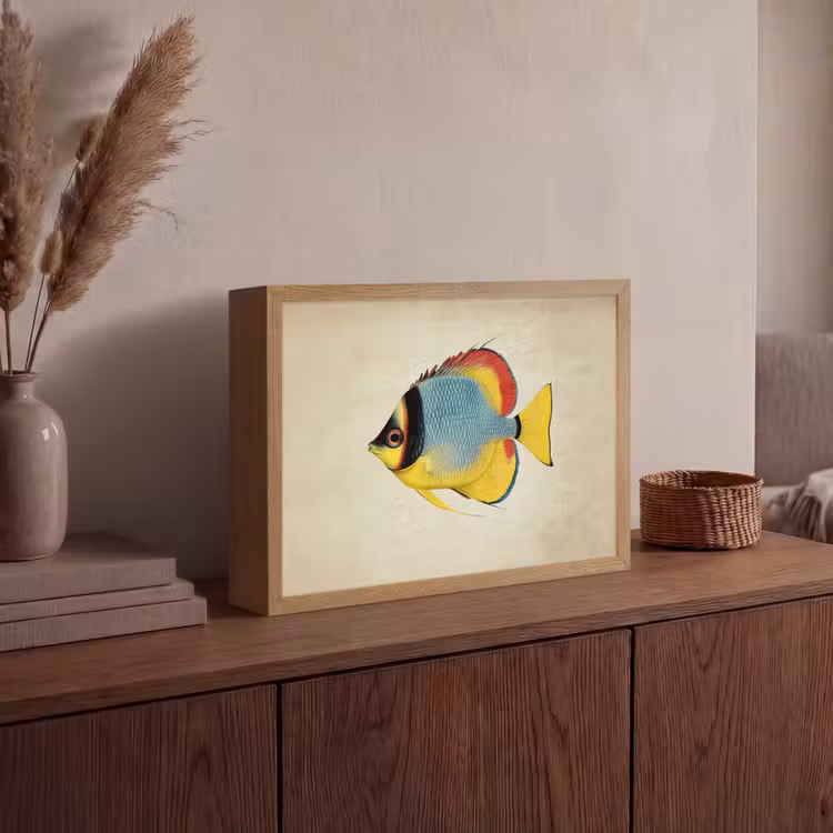Lightbox - Wandlamp - Kleurrijk - Vis - Schubben - Illustratie — 4