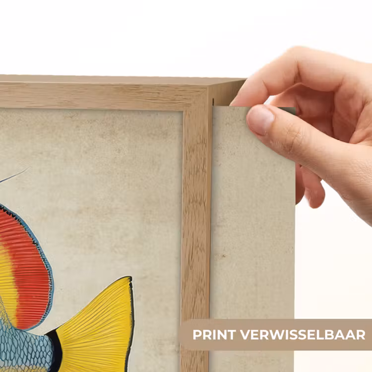 Lightbox - Wandlamp - Kleurrijk - Vis - Schubben - Illustratie — 5
