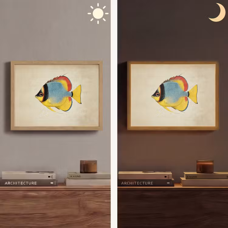 Lightbox - Wandlamp - Kleurrijk - Vis - Schubben - Illustratie — 6