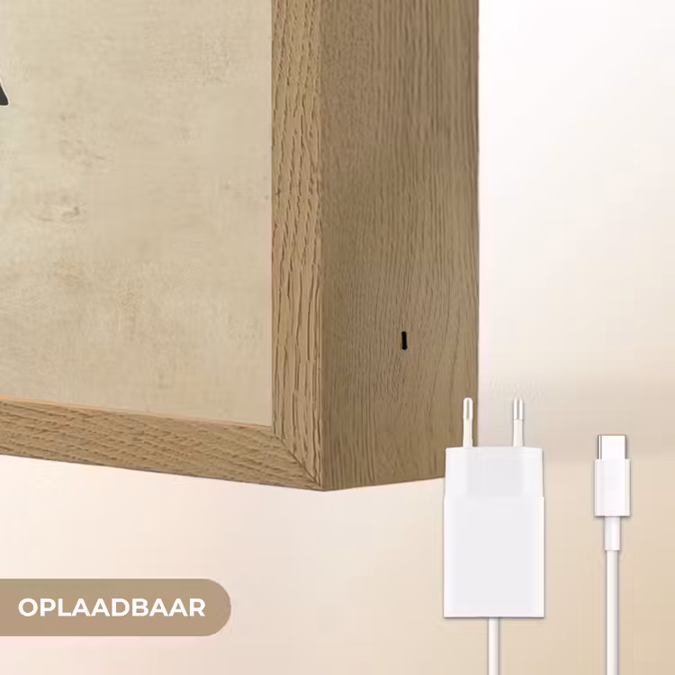 Lightbox - Wandlamp - Kleurrijk - Vis - Schubben - Illustratie — 7