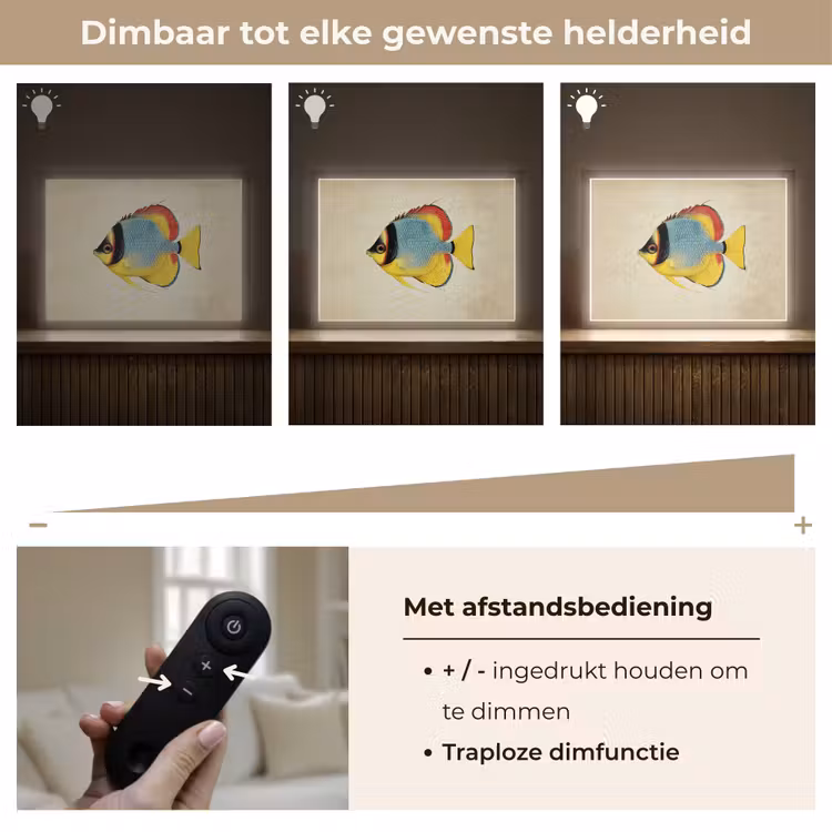 Lightbox - Wandlamp - Kleurrijk - Vis - Schubben - Illustratie — 9