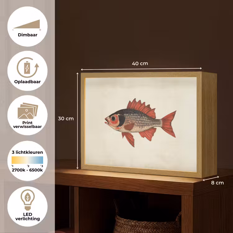 Lightbox - Wandlamp - Schubben - Rood - Vis - Vinnen — 10