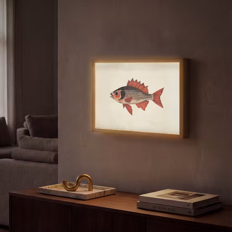 Lightbox - Wandlamp - Schubben - Rood - Vis - Vinnen — 2