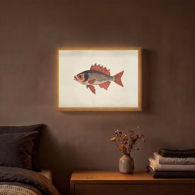 Lightbox - Wandlamp - Schubben - Rood - Vis - Vinnen — 3