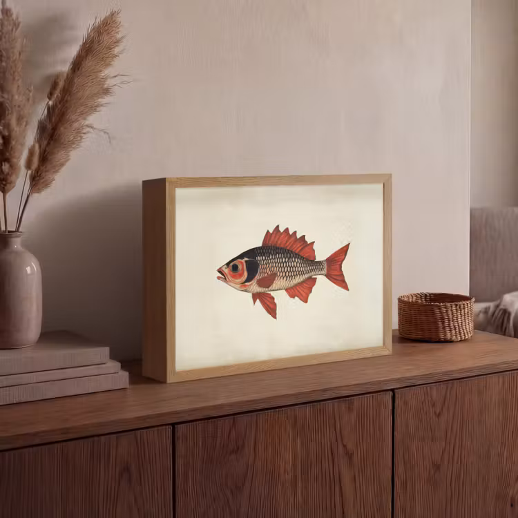 Lightbox - Wandlamp - Schubben - Rood - Vis - Vinnen — 4