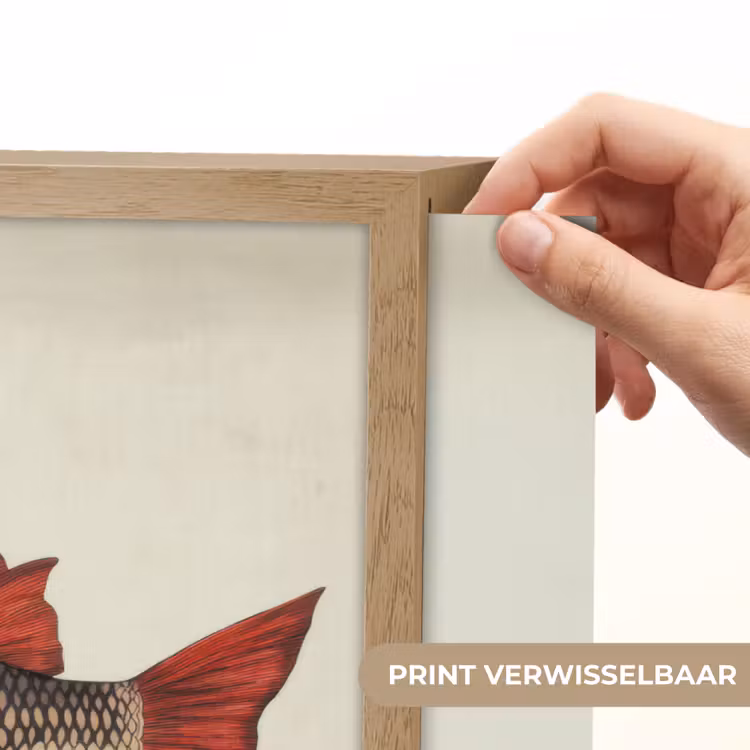 Lightbox - Wandlamp - Schubben - Rood - Vis - Vinnen — 5