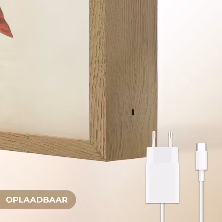 Lightbox - Wandlamp - Schubben - Rood - Vis - Vinnen — 7
