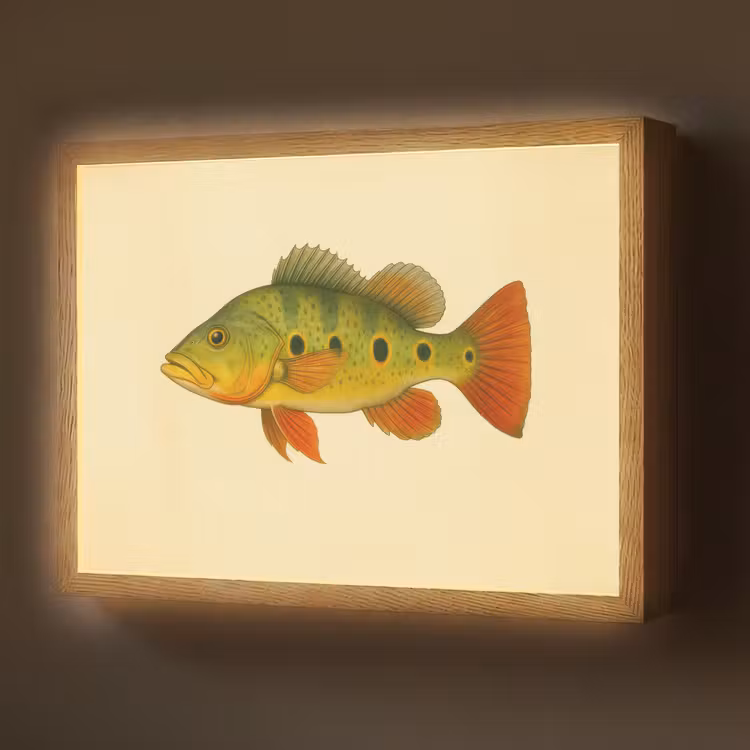 Lightbox - Wandlamp - Schubben - Vis - Groen - Illustratie — 1