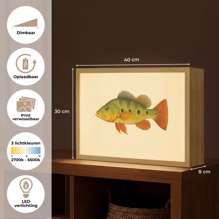 Lightbox - Wandlamp - Schubben - Vis - Groen - Illustratie — 10