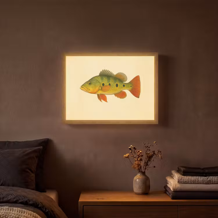 Lightbox - Wandlamp - Schubben - Vis - Groen - Illustratie — 3