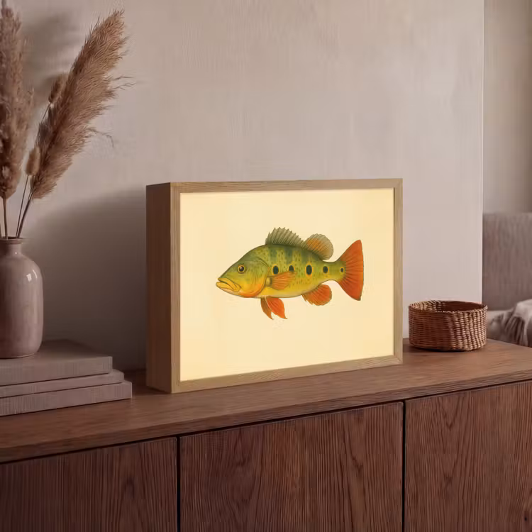 Lightbox - Wandlamp - Schubben - Vis - Groen - Illustratie — 4