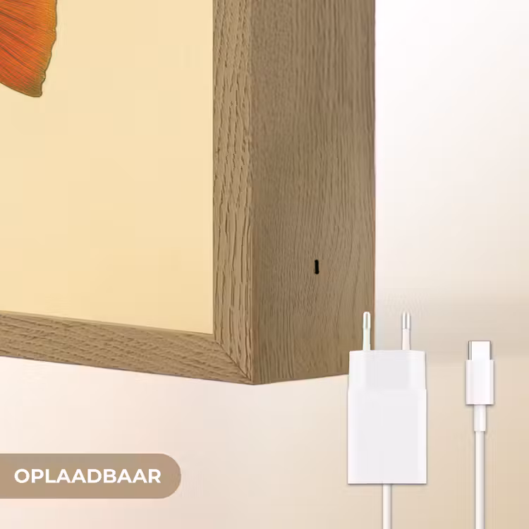 Lightbox - Wandlamp - Schubben - Vis - Groen - Illustratie — 7