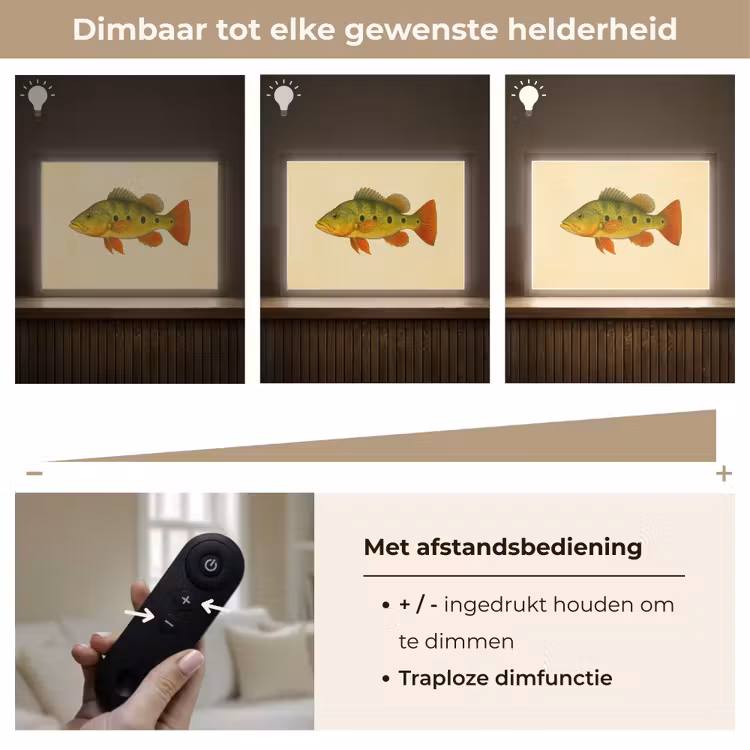 Lightbox - Wandlamp - Schubben - Vis - Groen - Illustratie — 9