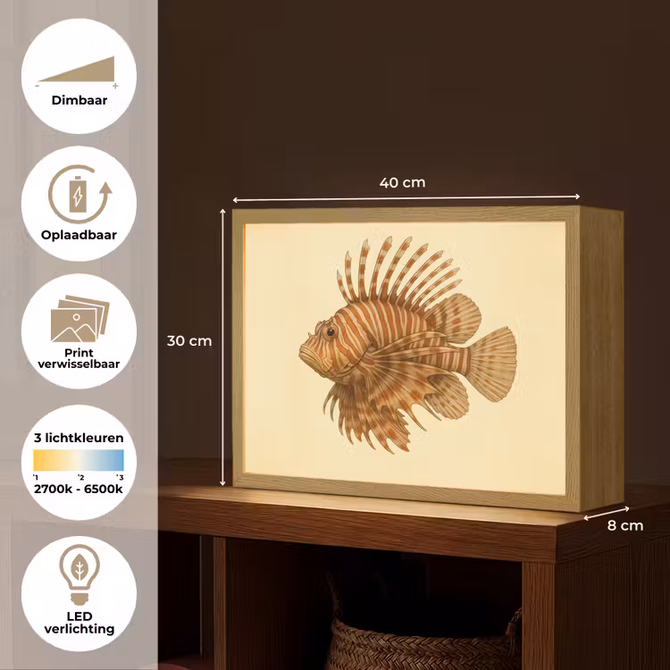 Lightbox - Wandlamp - Strepen - Vis - Rond - Stekels — 10