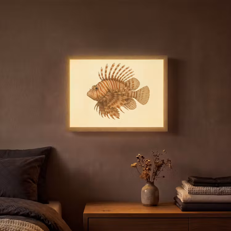 Lightbox - Wandlamp - Strepen - Vis - Rond - Stekels — 3