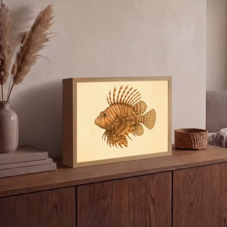 Lightbox - Wandlamp - Strepen - Vis - Rond - Stekels — 4