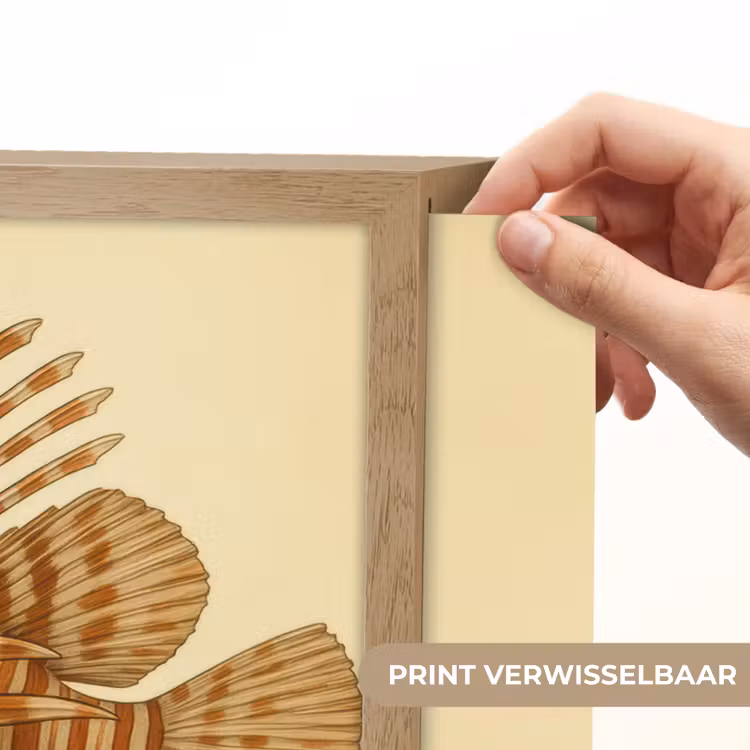 Lightbox - Wandlamp - Strepen - Vis - Rond - Stekels — 5
