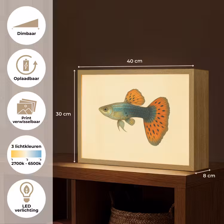 Lightbox - Wandlamp - Vis - illustratie - Stippen - Oranje — 10