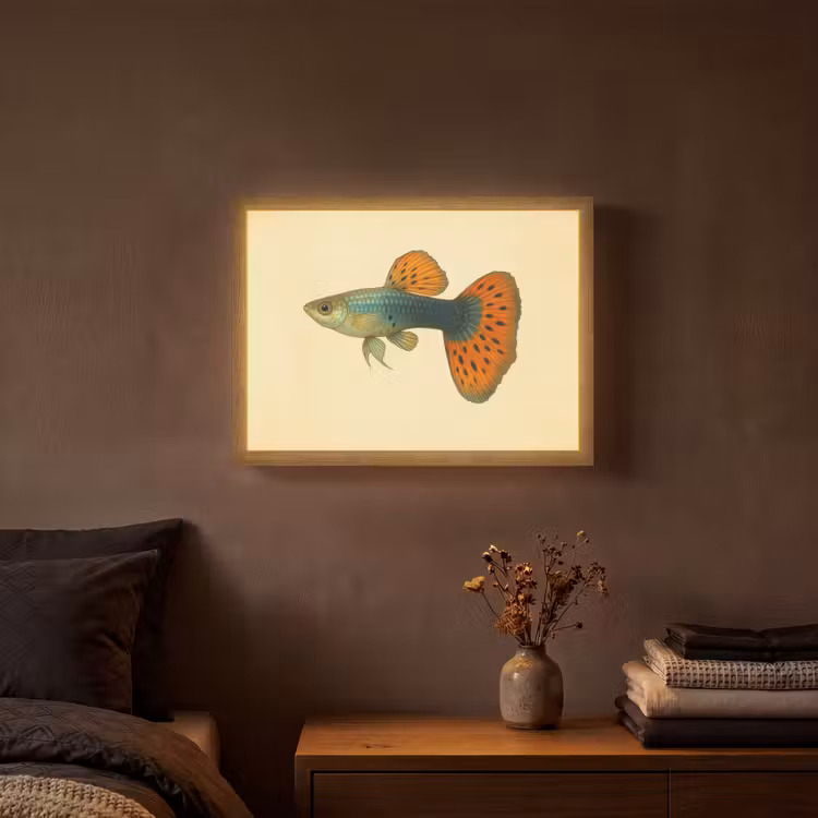 Lightbox - Wandlamp - Vis - illustratie - Stippen - Oranje — 3