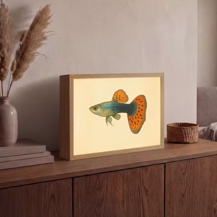 Lightbox - Wandlamp - Vis - illustratie - Stippen - Oranje — 4