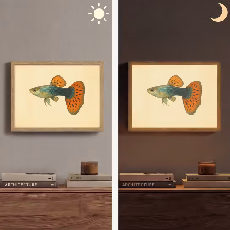 Lightbox - Wandlamp - Vis - illustratie - Stippen - Oranje — 6