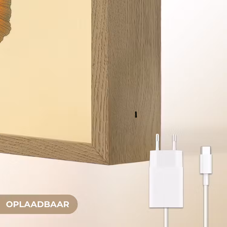 Lightbox - Wandlamp - Vis - illustratie - Stippen - Oranje — 7