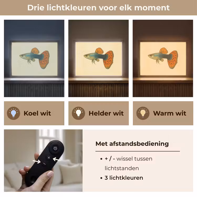 Lightbox - Wandlamp - Vis - illustratie - Stippen - Oranje — 8