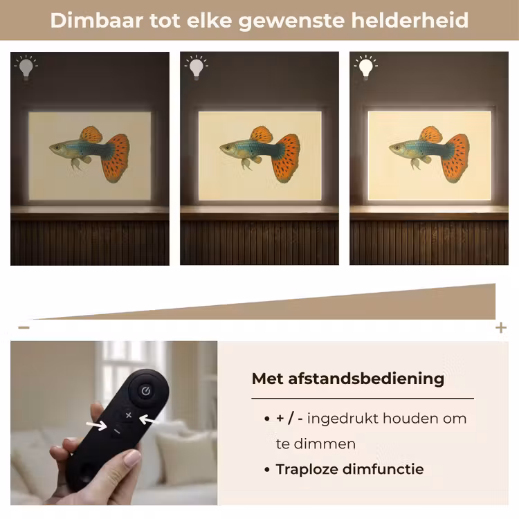 Lightbox - Wandlamp - Vis - illustratie - Stippen - Oranje — 9