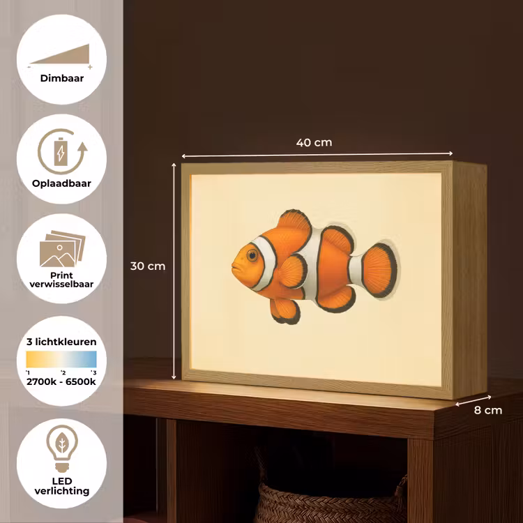 Lightbox - Wandlamp - Vis - Oranje - Strepen — 10
