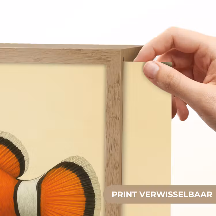 Lightbox - Wandlamp - Vis - Oranje - Strepen — 5