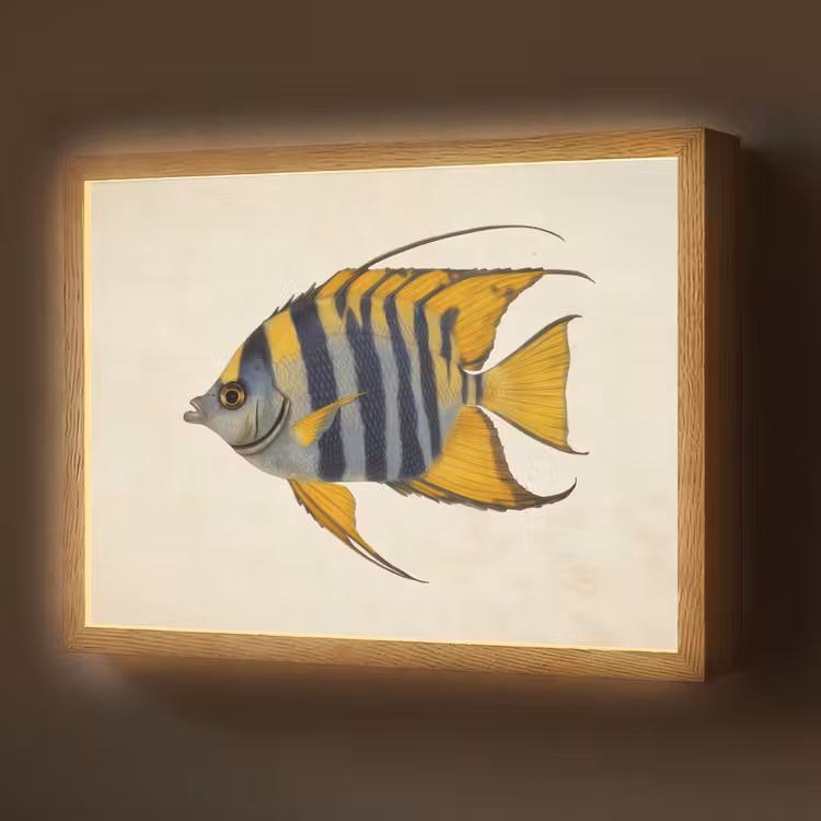 Lightbox - Wandlamp - Vis - Sierlijk - Vinnen - Illustratie — 1