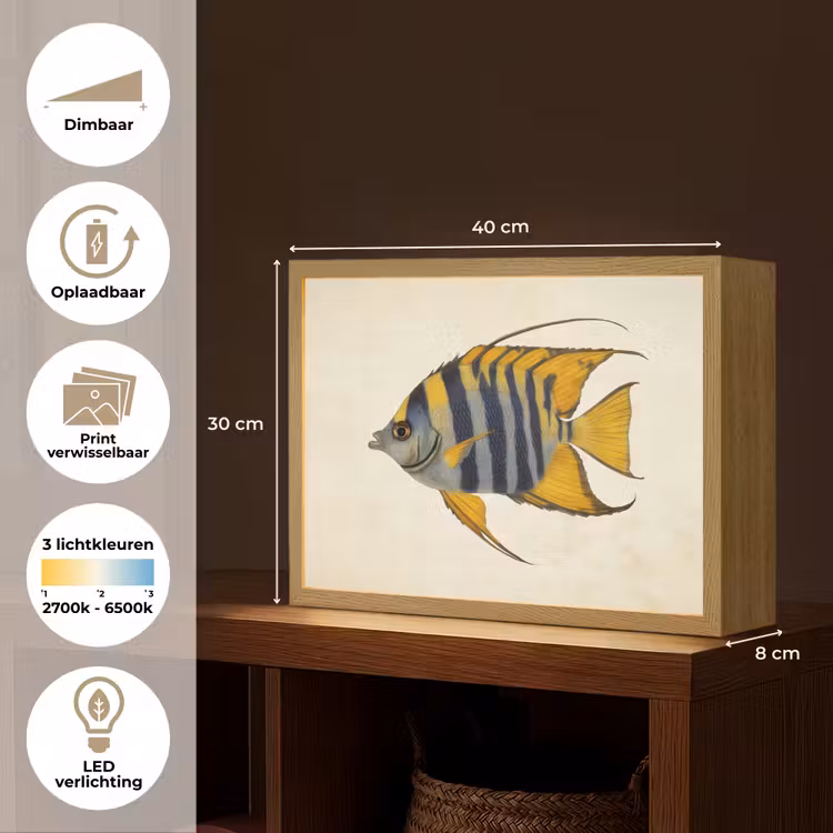 Lightbox - Wandlamp - Vis - Sierlijk - Vinnen - Illustratie — 10