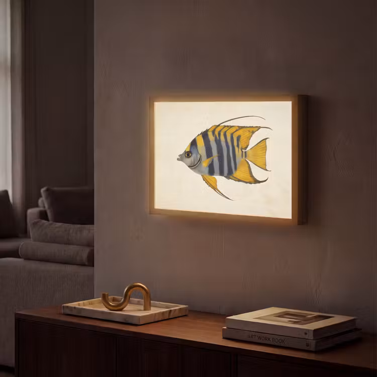 Lightbox - Wandlamp - Vis - Sierlijk - Vinnen - Illustratie — 2