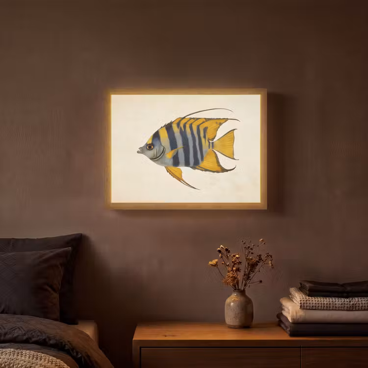 Lightbox - Wandlamp - Vis - Sierlijk - Vinnen - Illustratie — 3