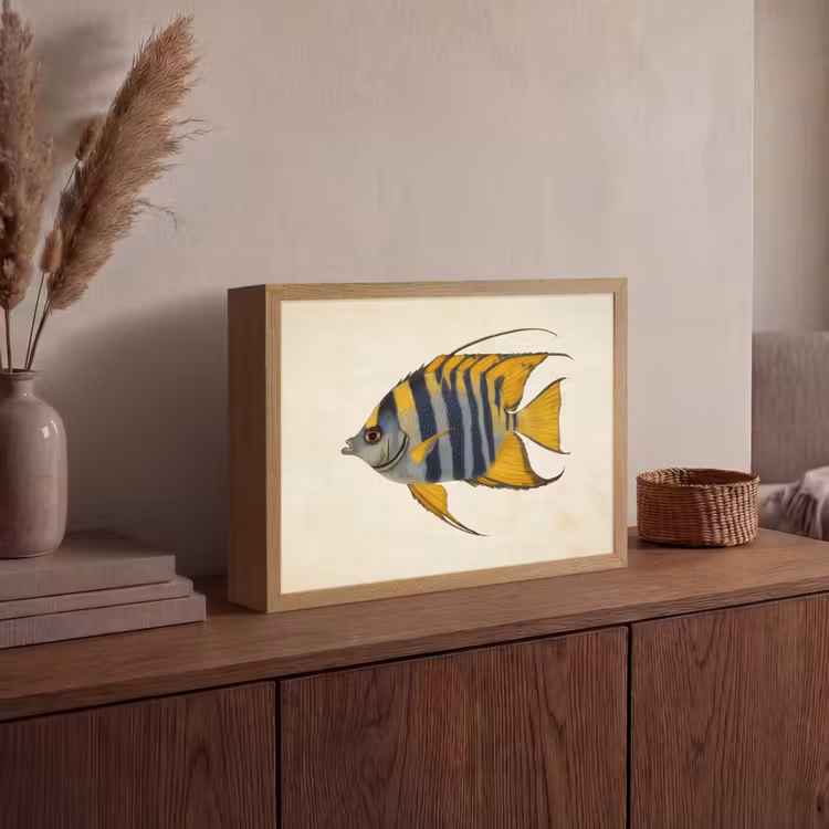 Lightbox - Wandlamp - Vis - Sierlijk - Vinnen - Illustratie — 4